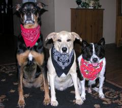 Three Stooges